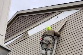 Best Historical Building Siding Restoration  in Davenport, IA